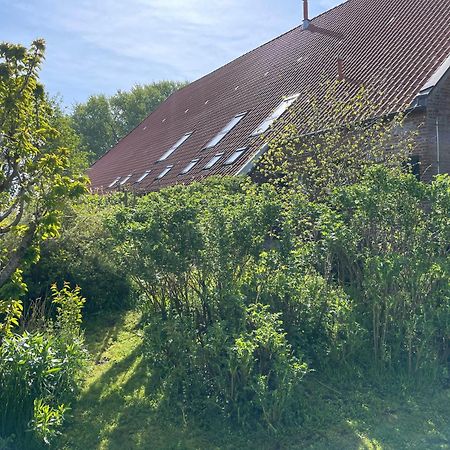 Ferienhof Spiegelhaus Krummhörn 외부 사진