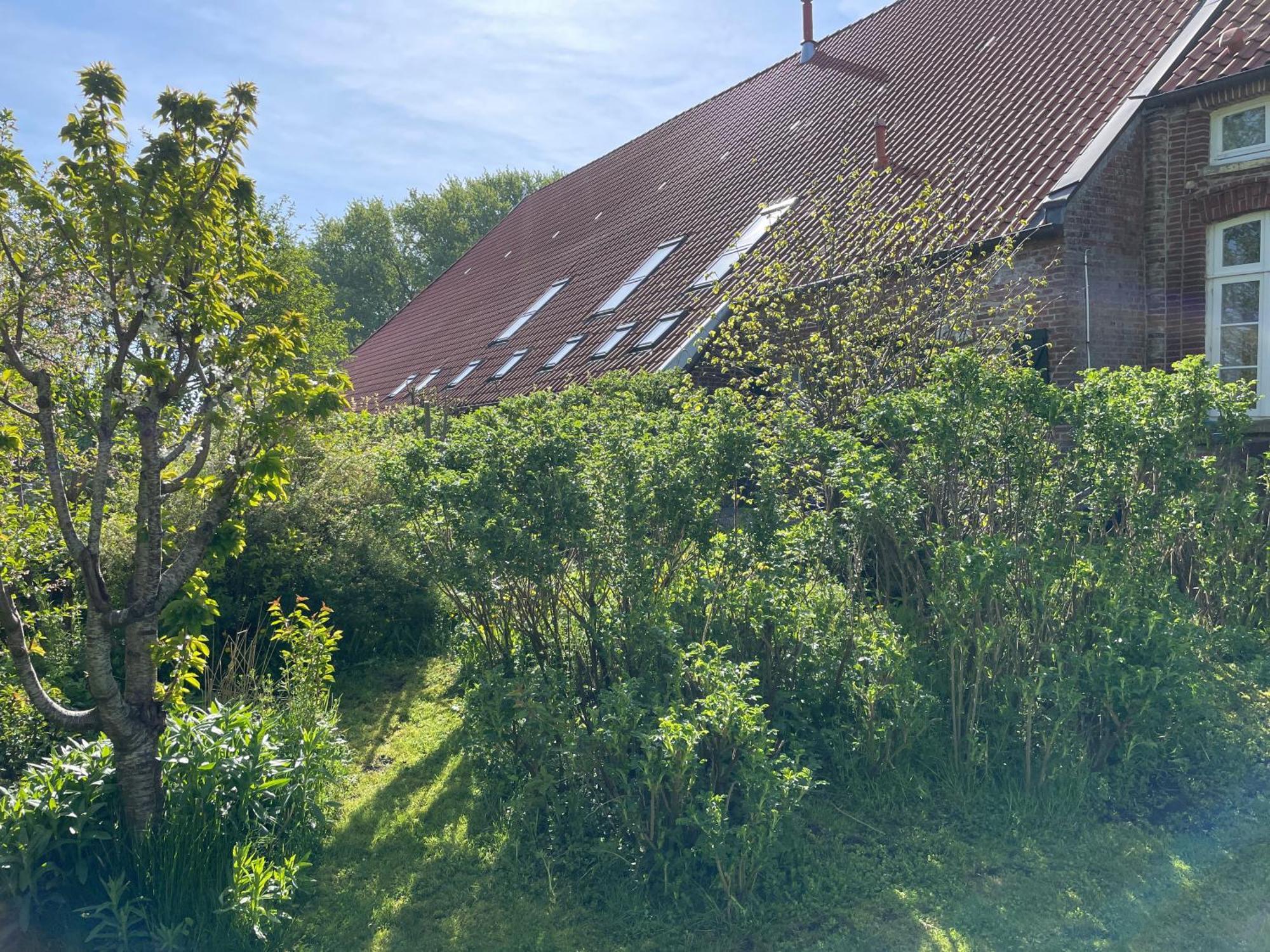 Ferienhof Spiegelhaus Krummhörn 외부 사진